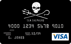 sea_shepherd